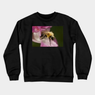 SPREADING THE LOVE Crewneck Sweatshirt